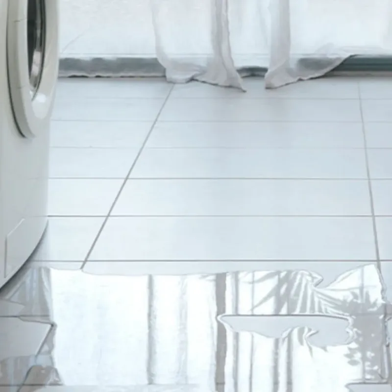 Appliance Leak Cleanup in Bellville, TX