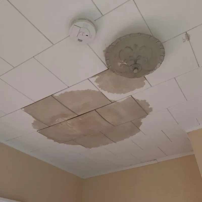 Ceiling Water Damage Repair in Bellville, TX