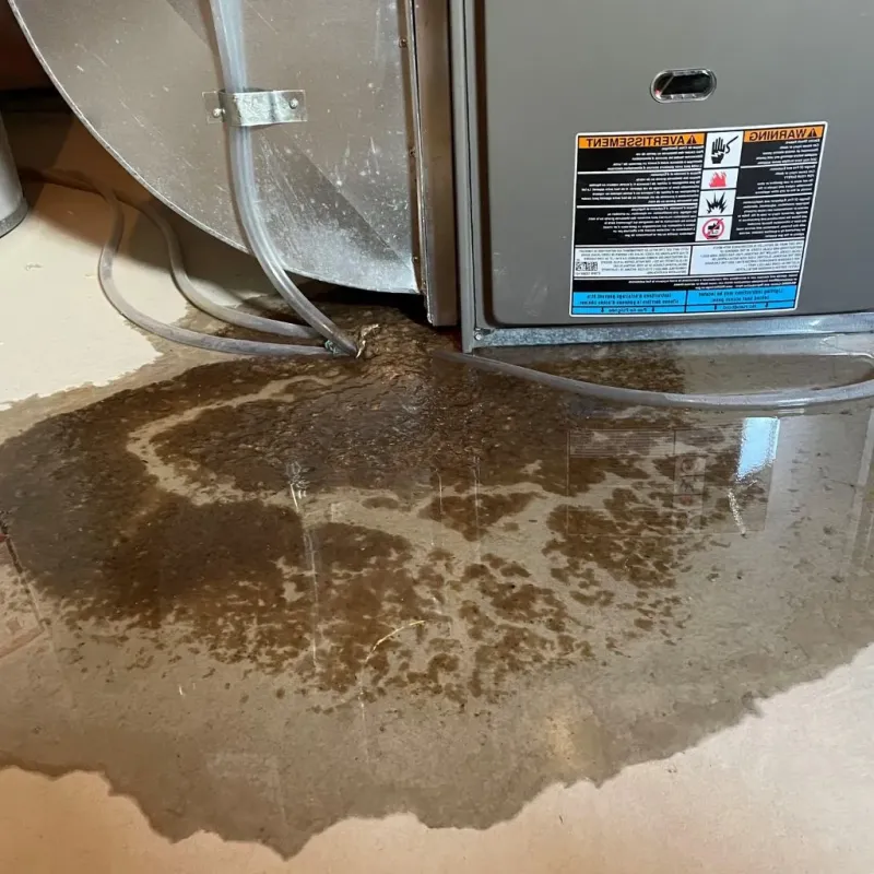 Pipe Burst and Leak Restoration in Bellville, TX