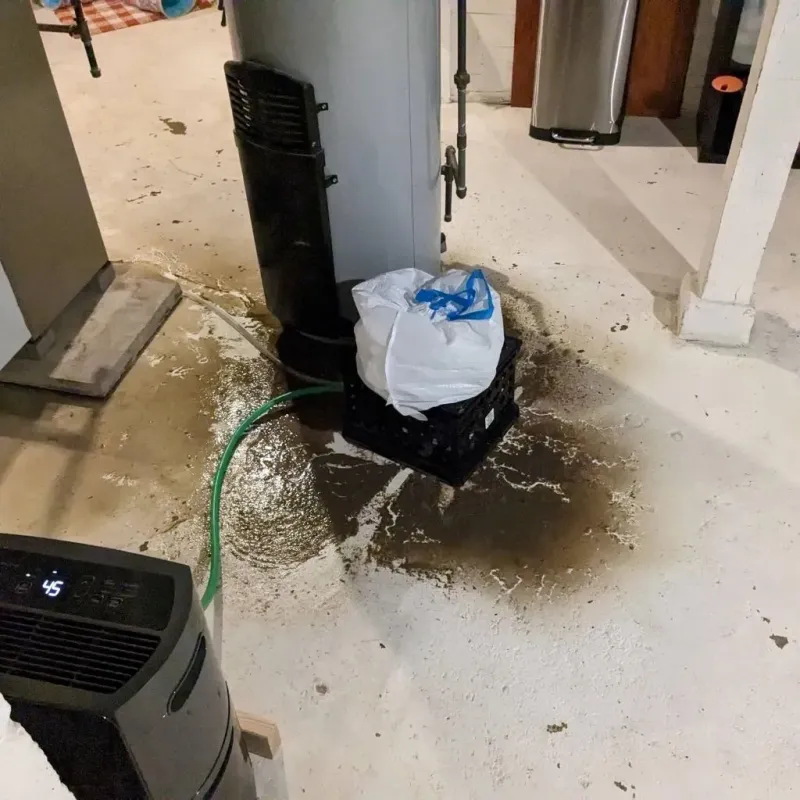 Sewage Backup Cleanup Service in Bellville, TX